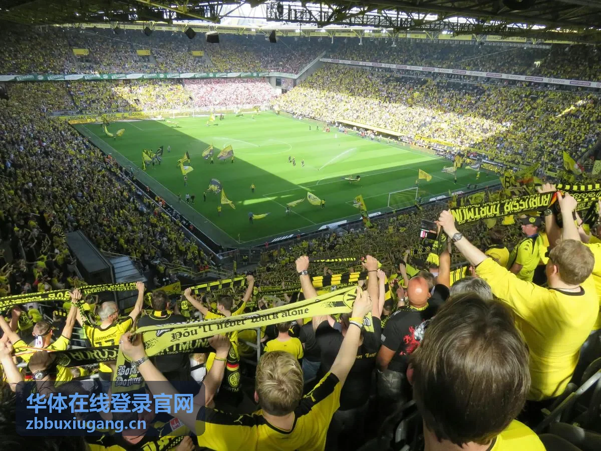 华体在线登录官网在售的泳镜泳帽套装产品图